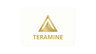 Teramine Logo
