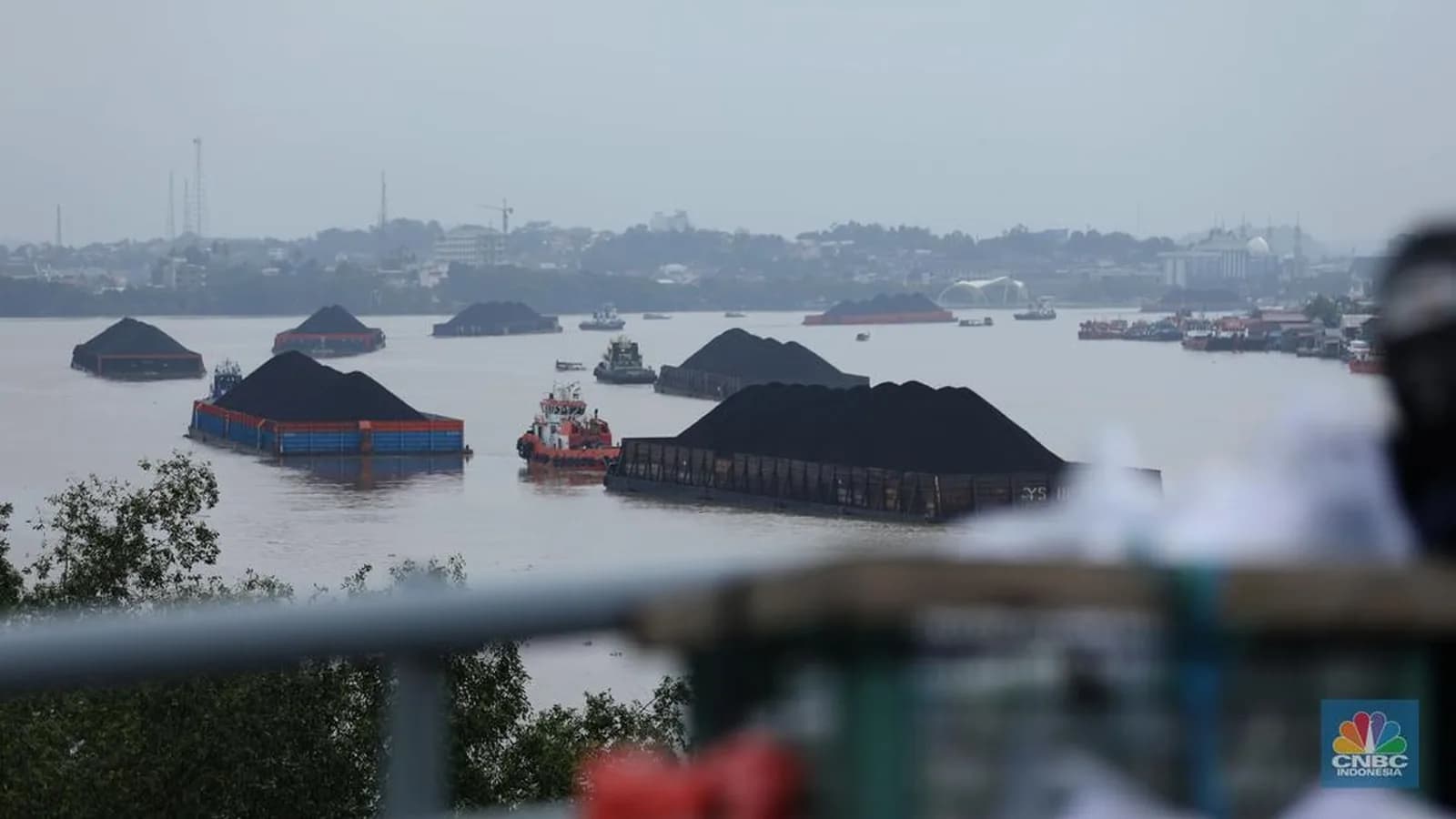 Harga Batu Bara Berakhir di US$146,4 per Ton, dan Kesepakatan China Impor 10 Juta Ton Batu Bara AS per Tahun