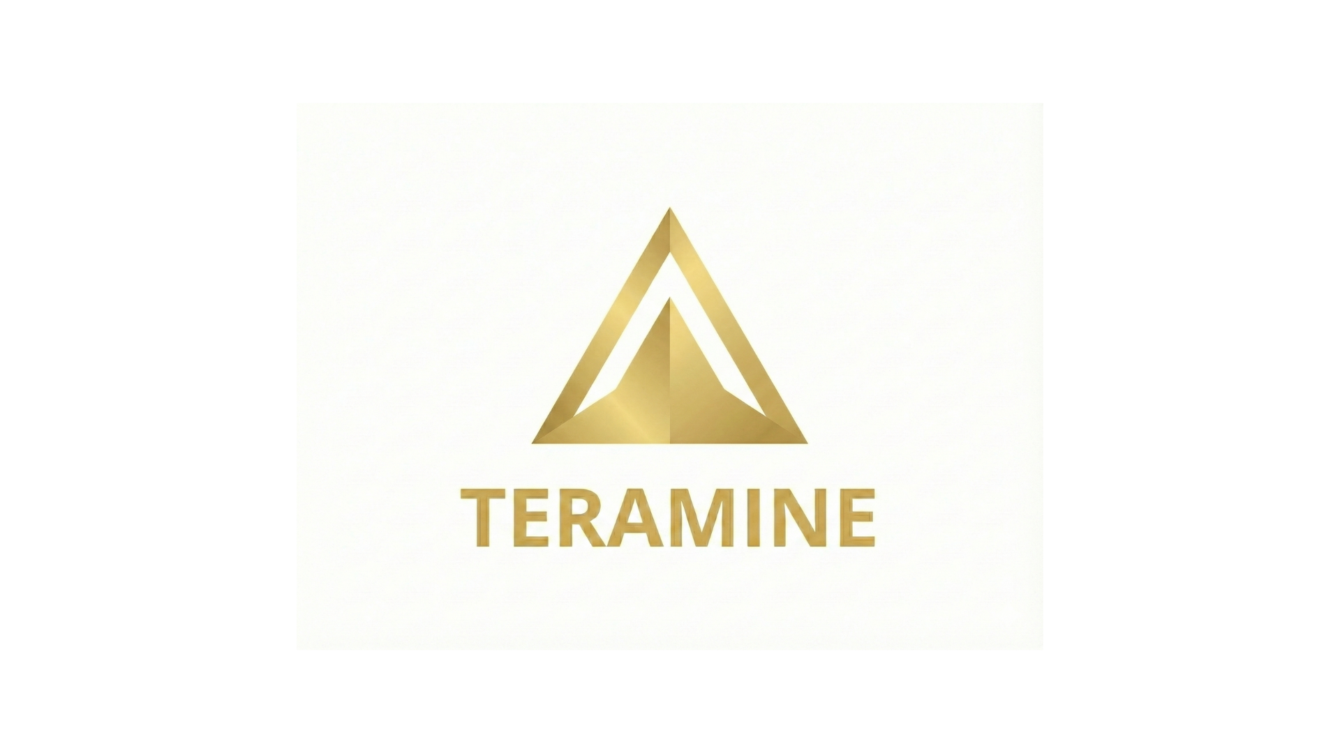 Teramine Logo